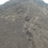Groencompost